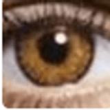 Hazel